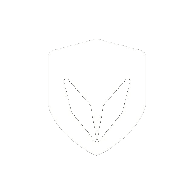 Vault VPN